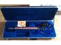 Rickenbacker 360/6 BH BT, Midnightblue: Free image