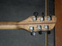 Rickenbacker 360/6 Mod, Custom: Headstock - Rear