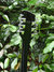 Rickenbacker 620/12 , Jetglo: Headstock - Rear