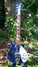 Rickenbacker 620/6 , Midnightblue: Body - Rear