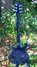 Rickenbacker 620/6 , Midnightblue: Full Instrument - Rear