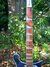 Rickenbacker 620/6 , Midnightblue: Neck - Front