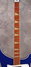 Rickenbacker 481/6 Slant Fret, Azureglo: Neck - Front