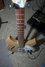 Rickenbacker 330/12 , Mapleglo: Close up - Free