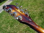 Rickenbacker 381/12 V69, MonteBrown: Headstock - Rear