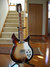 Rickenbacker 381/12 V69, MonteBrown: Full Instrument - Front