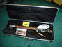 Rickenbacker 330/12 , Jetglo: Free image
