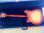 Rickenbacker 360/6 , Fireglo: Full Instrument - Rear