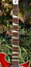 Rickenbacker 625/6 , Fireglo: Neck - Front