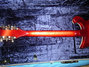 Rickenbacker 660/12 TP, Fireglo: Neck - Rear