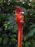 Rickenbacker 620/6 , Fireglo: Headstock - Rear