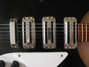 Rickenbacker 345/6 Refin, Jetglo: Body - Front
