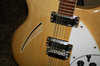 Rickenbacker 360/12 , Mapleglo: Close up - Free
