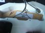Rickenbacker 4003/5 S, White: Close up - Free