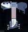 Rickenbacker 325/6 C64, Jetglo: Full Instrument - Front