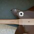 Rickenbacker 400/6 Refin, Black: Neck - Rear