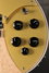 Rickenbacker 660/12 , Mapleglo: Close up - Free2