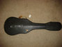 Rickenbacker NS 100/6 LapSteel, Silver: Close up - Free