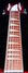 Rickenbacker 360/6 , Fireglo: Neck - Front