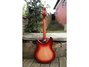 Rickenbacker 330/6 , Fireglo: Full Instrument - Rear