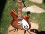 Rickenbacker 360/12 , Walnut: Free image
