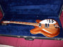Rickenbacker 360/12 , Walnut: Close up - Free