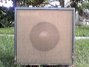 Rickenbacker M-30/amp Ek-O-Sound, Gray: Headstock