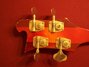 Rickenbacker 4001/4 Mod, Fireglo: Headstock - Rear