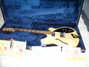 Rickenbacker 360/12 BH BT, Mapleglo: Body - Front