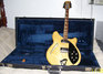 Rickenbacker 360/12 BH BT, Mapleglo: Full Instrument - Front