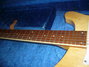 Rickenbacker 480/6 , Mapleglo: Neck - Front