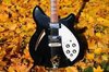 Rickenbacker 360/12 Mod, Jetglo: Body - Front