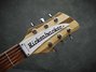 Rickenbacker 360/6 , Mapleglo: Headstock