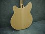 Mar 2009 Rickenbacker 360/6 , Mapleglo: Body - Rear