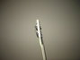 Rickenbacker 4001/4 BT, White: Headstock - Rear