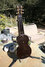 Rickenbacker BD/6 Bronson, Brown: Full Instrument - Rear