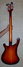 Rickenbacker 4003/4 , Fireglo: Full Instrument - Rear