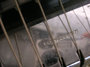 Rickenbacker BD/6 LapSteel, Black: Free image