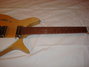 Rickenbacker 315/6 f hole, Natural: Neck - Front