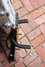 Rickenbacker 330/6 , Jetglo: Neck - Front