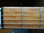 Rickenbacker 330/6 Mod, Jetglo: Neck - Front