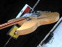 Rickenbacker 330/12 , Mapleglo: Free image