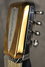 Rickenbacker G/8 LapSteel, Silver: Free image