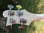Rickenbacker 4001/4 V63, White: Headstock - Rear