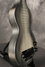 Rickenbacker NS/Post War/6 LapSteel, Gray: Free image