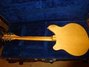 Rickenbacker 360/12 , Mapleglo: Full Instrument - Rear