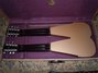 Rickenbacker D16/2 X 8 Doubleneck, Copper: Full Instrument - Rear