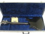 Rickenbacker 625/6 , Jetglo: Full Instrument - Rear