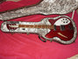 Rickenbacker 360/6 , Ruby: Full Instrument - Front