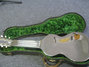 Rickenbacker NS 100/6 LapSteel, Silver: Full Instrument - Rear